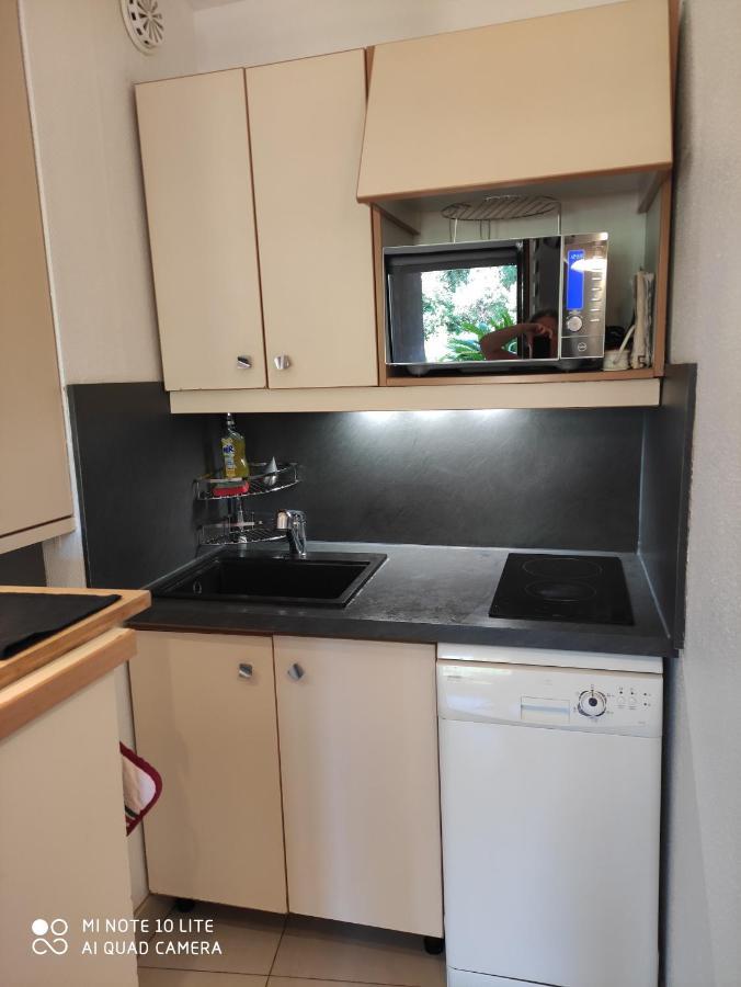 Residence Les Palmiers Nice Ngoại thất bức ảnh